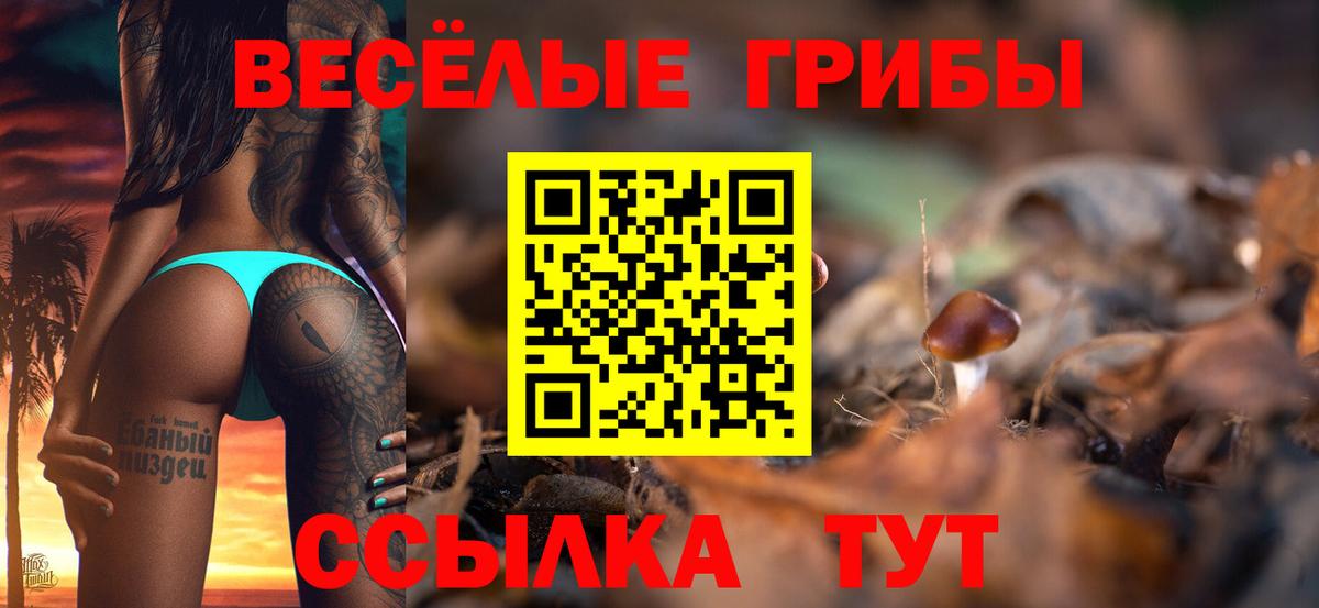 Галлюциногенные грибы MAGIC MUSHROOMS Лыткарино