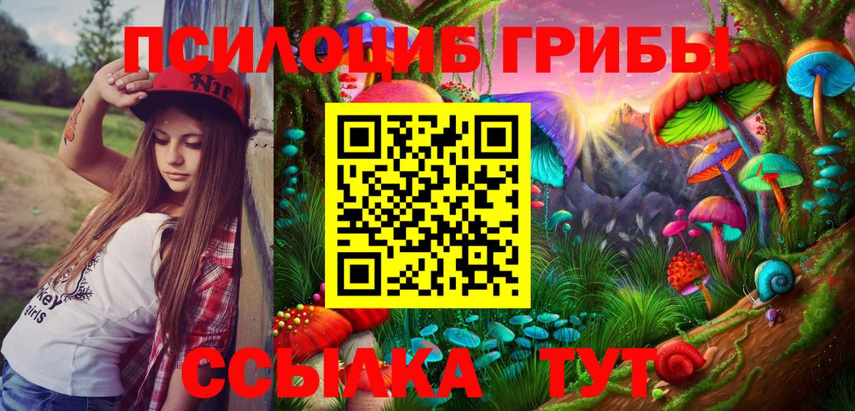 купить наркоту  Галлюциногенные грибы MAGIC MUSHROOMS  Вход с VPN  Лыткарино 